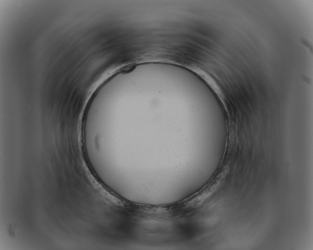 X0000091660957200709131507