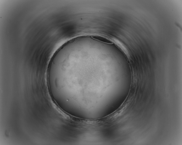 X0000091660958200709131507