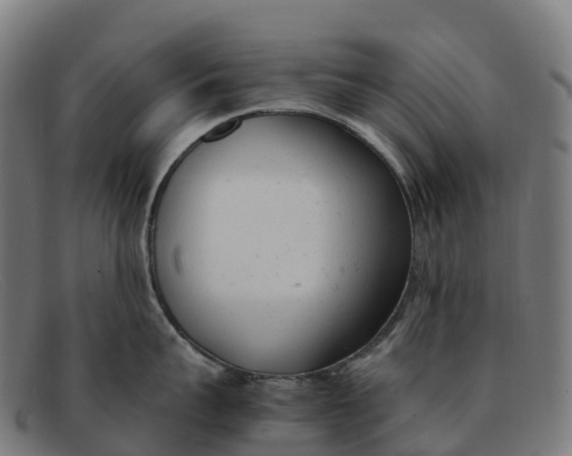 X0000091660959200709131507