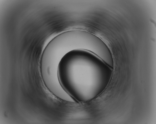 X0000091660960200709131507