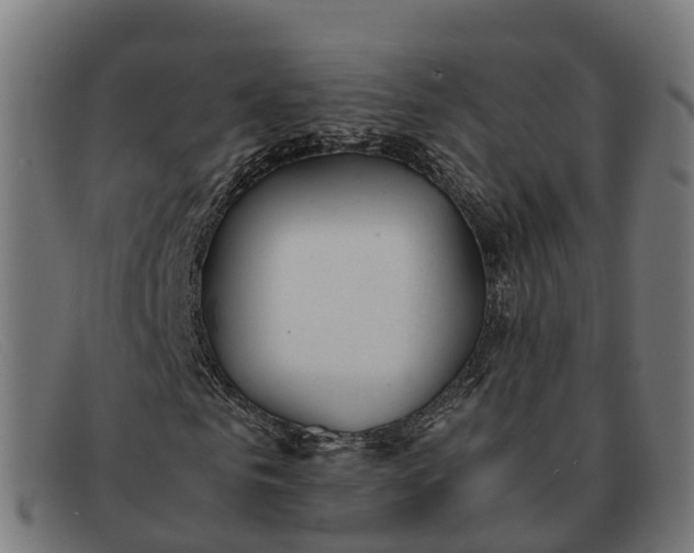 X0000091660961200709131507