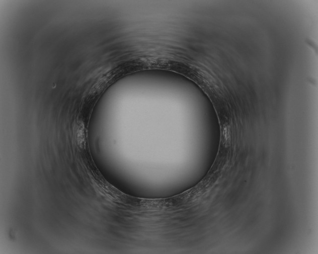 X0000091660963200709131507