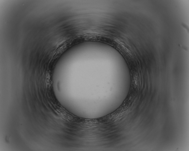 X0000091660964200709131507