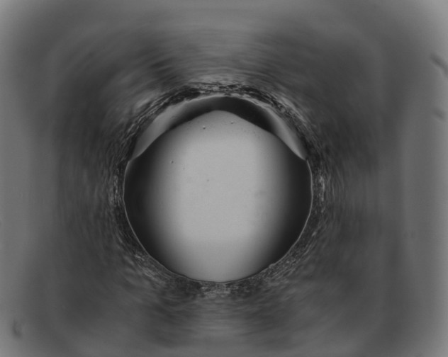 X0000091660965200709131507