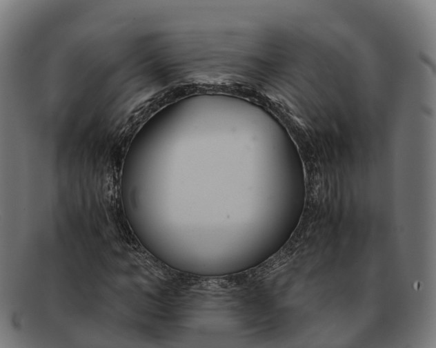 X0000091660966200709131507