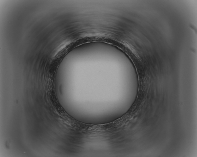 X0000091660967200709131507