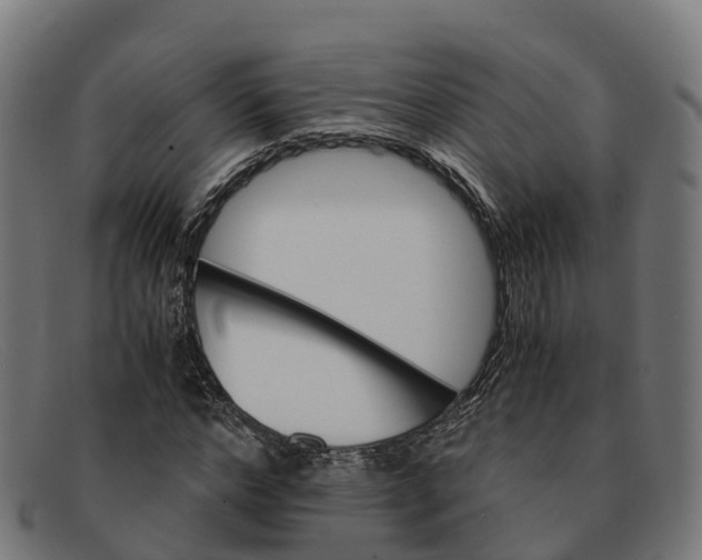 X0000091660968200709131507