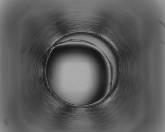 X0000091660969200709131507