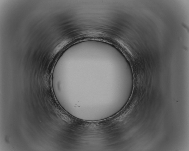 X0000091660970200709131507