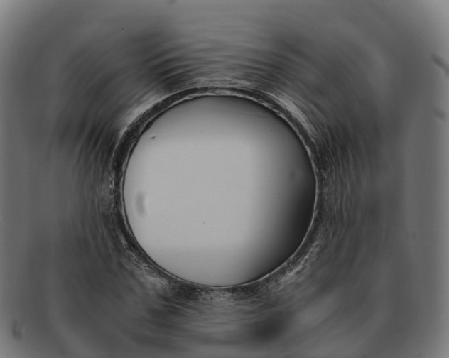 X0000091660971200709131507