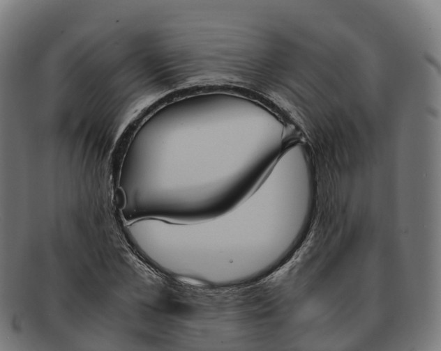 X0000091660973200709131507