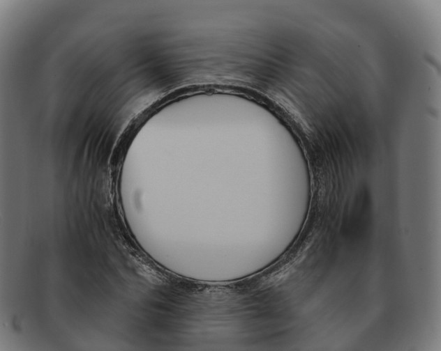 X0000091660974200709131507