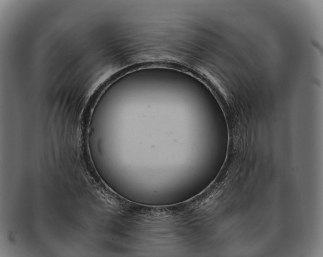 X0000091660975200709131507