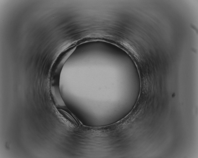 X0000091660976200709131507