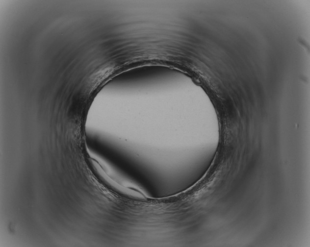 X0000091660977200709131507