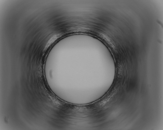 X0000091660978200709131507