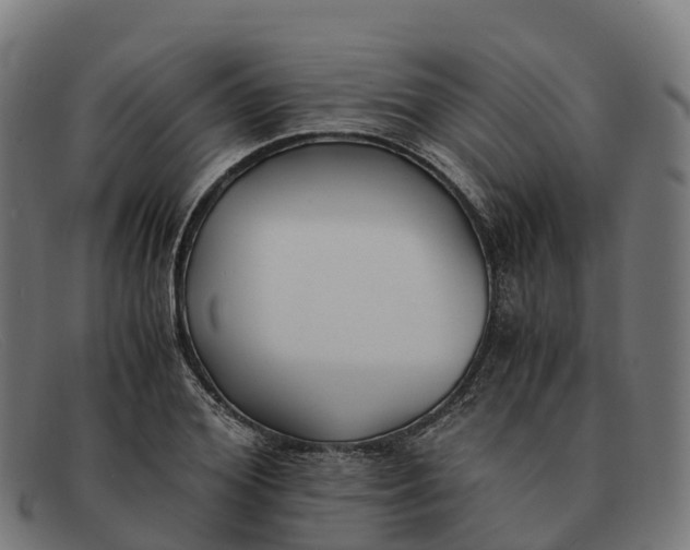 X0000091660980200709131507