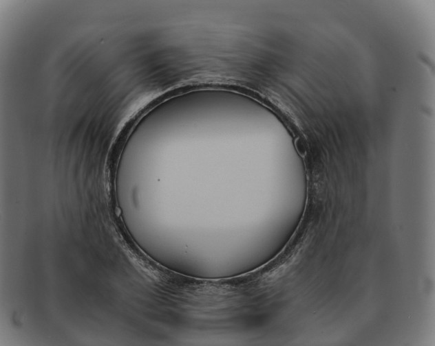 X0000091660981200709131507