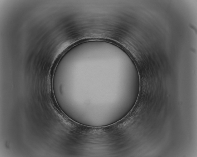 X0000091660982200709131506