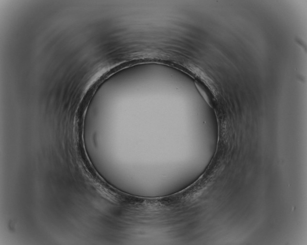 X0000091660983200709131506