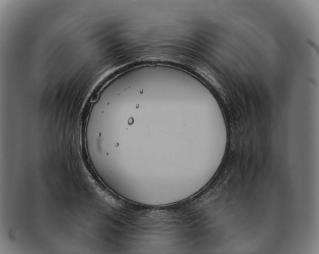 X0000091660984200709131506