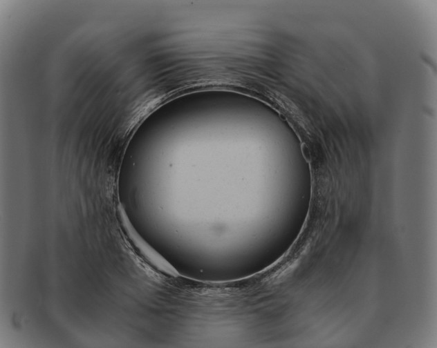 X0000091660985200709131506