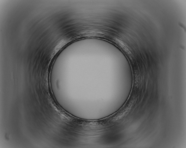 X0000091660986200709131506