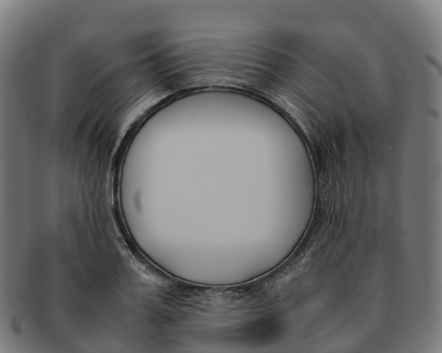 X0000091660987200709131506