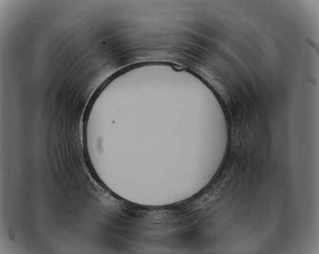 X0000091660988200709131506