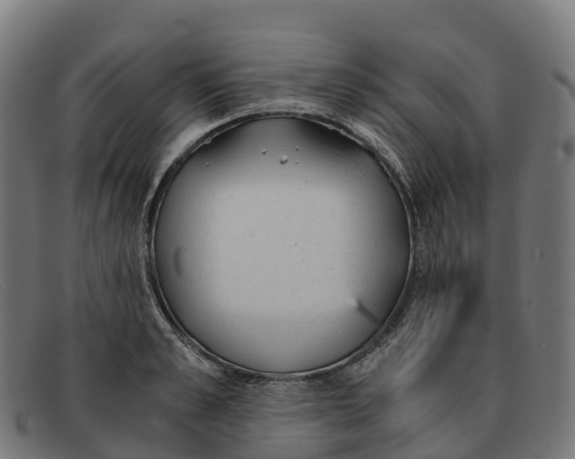 X0000091660989200709131506