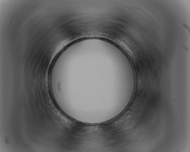 X0000091660990200709131506