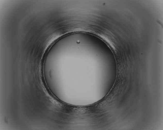 X0000091660991200709131506