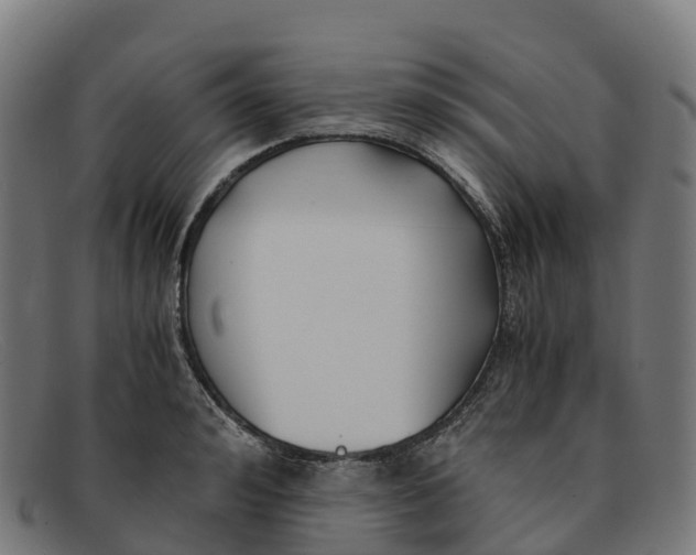 X0000091660992200709131506