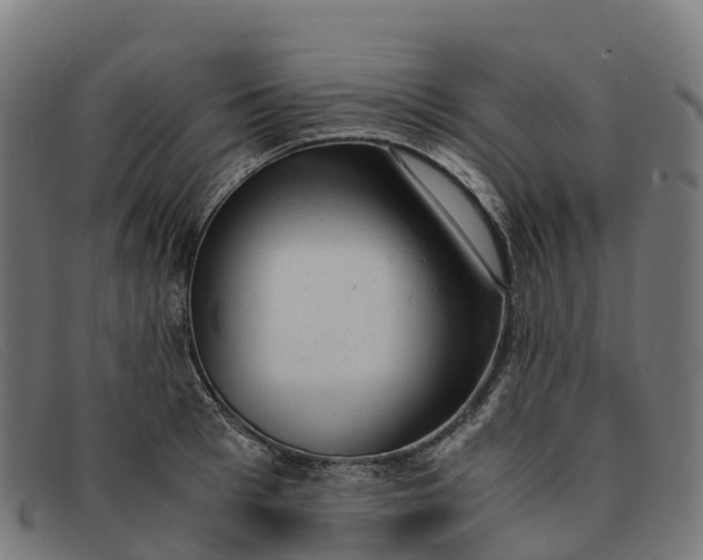 X0000091660993200709131506