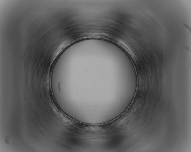 X0000091660994200709131506