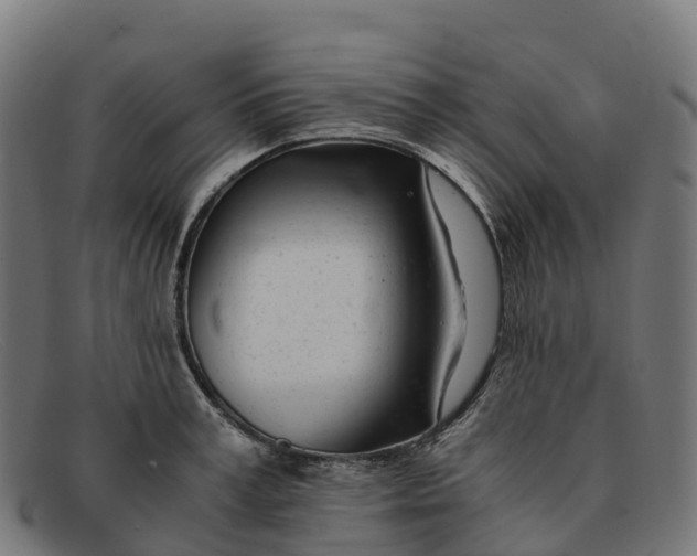 X0000091660995200709131506