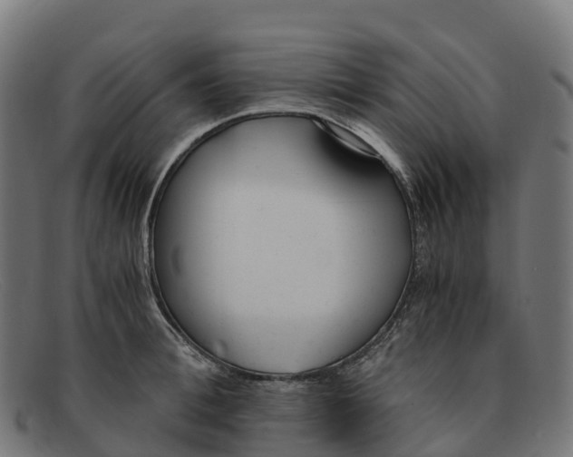 X0000091660996200709131506