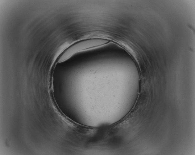 X0000091660997200709131506