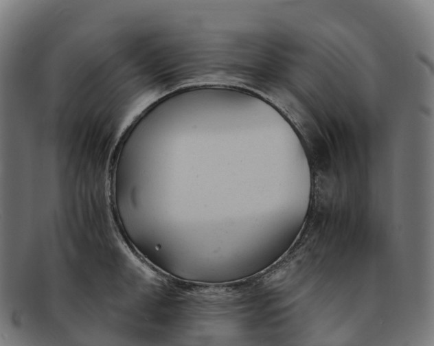 X0000091660998200709131506