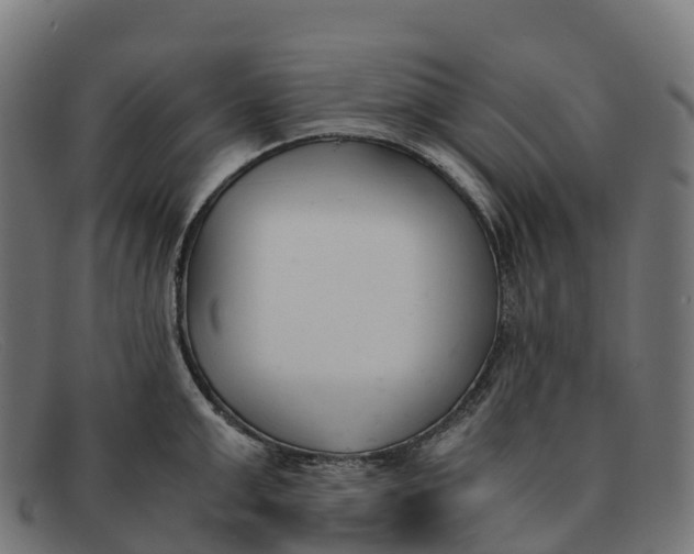 X0000091660999200709131506