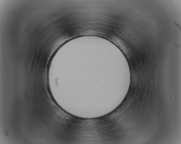 X0000091661000200709131506