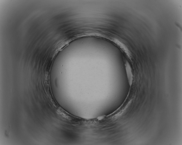 X0000091661001200709131506