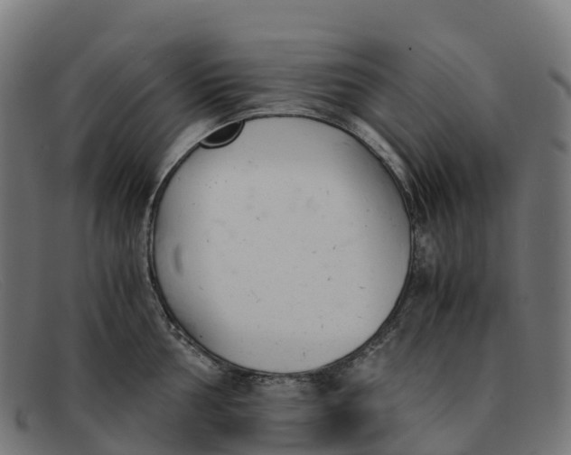 X0000091661002200709131506