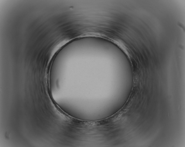 X0000091661003200709131506