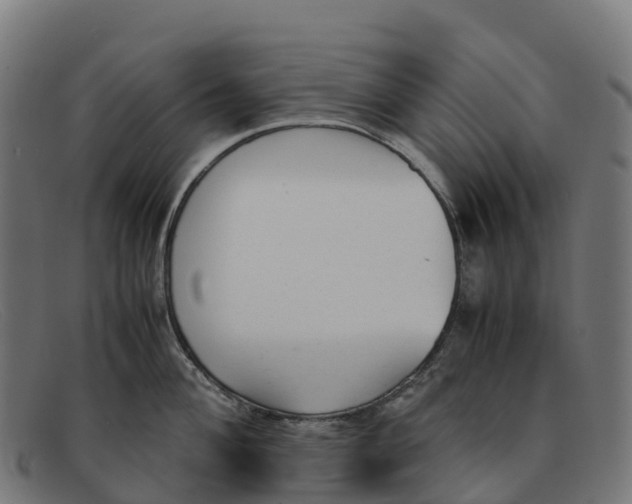 X0000091661004200709131506