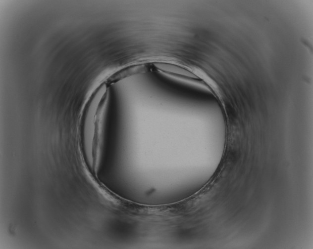 X0000091661005200709131506