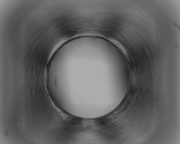 X0000091661006200709131506