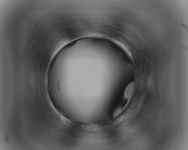 X0000091661007200709131506