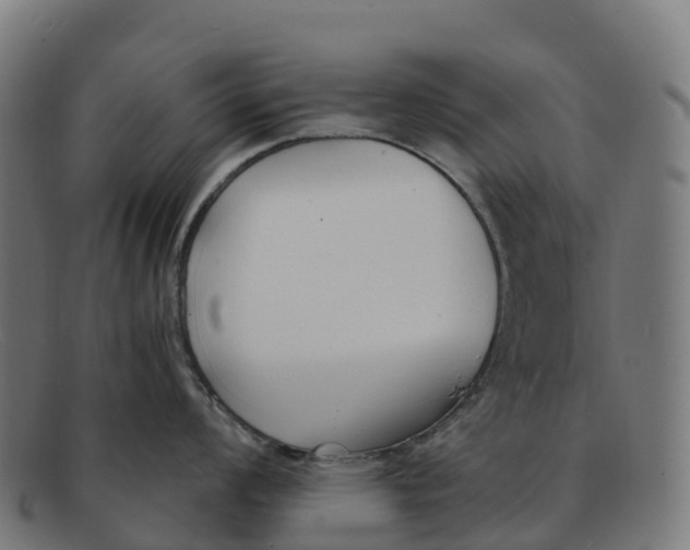 X0000091661008200709131506