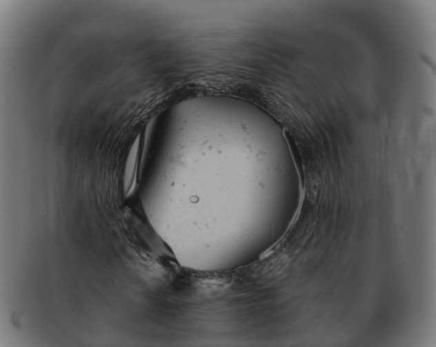 X0000091661010200709131506